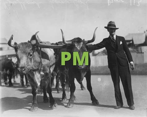pm meaning slangorg
