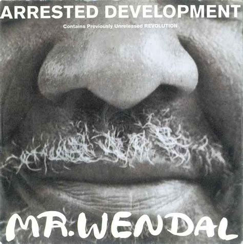 Arrested Development - Mr Wendal (1992, Silver Injection Labels, Vinyl ...