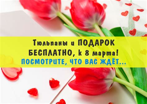 Живые ТЮЛЬПАНЫ в ПОДАРОК для Вас + музыка дождя заряжает позитивом!