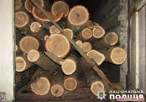 Житомир.info | Поліцейські зупинили DAF з нелегальними колодами дуба у ...
