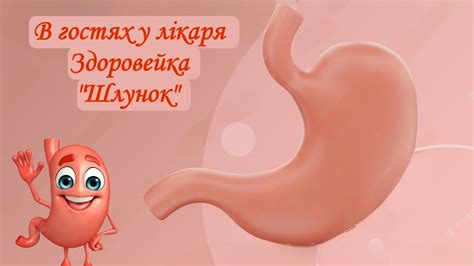 Дітям про шлунок - YouTube