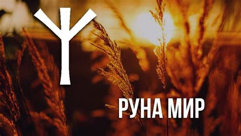 Руна Мир: описание символа, значение, толкование, фото