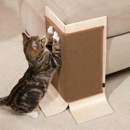 Cats, Cats meow, Cat diy