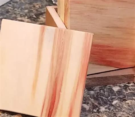 Box Elder Maple Wood – Forestry.com