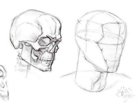 Конструктивное построение головы | Арт и искусство | Human anatomy ...