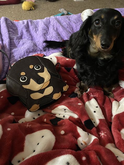 TW Pornstars - 2 pic. GiaPaige. Twitter. Today was good 💕. 4:50 AM - 12