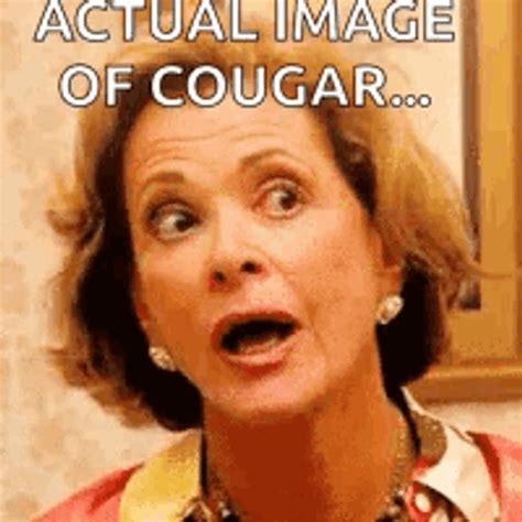cougar gifs gifdbcom