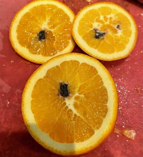 Why is this orange black inside?