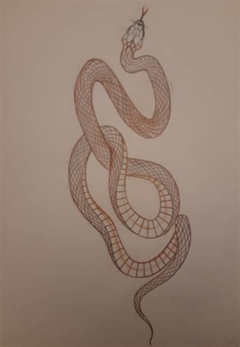 Snake Tattoo
