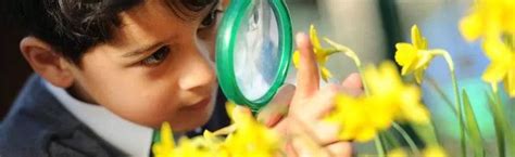 Catmose Primary | Ofsted Ratings, Reviews, Exam Results & Admission 2026
