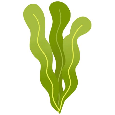 cute sea grass  png