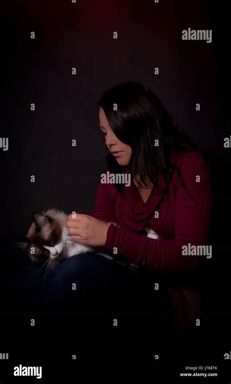 woman young animal cute pussycat cat domestic cat animal pet mammal