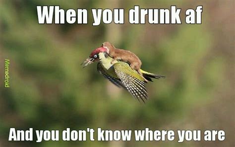 weasel  bird meme  tronalddump memedroid