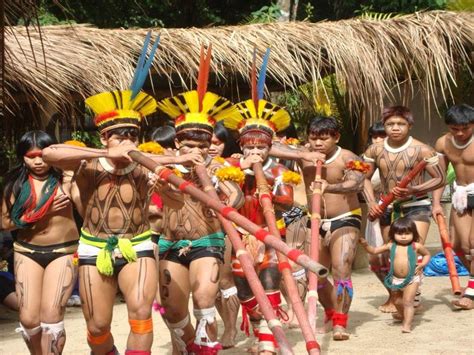 Dança Indígena No Brasil - 6