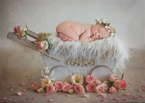 Uliana | Newborn Digital Backdrop