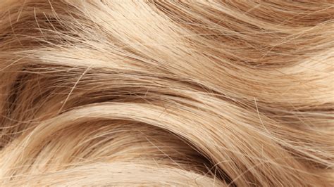 Kort fakta om hår » Bobbys Hair Care