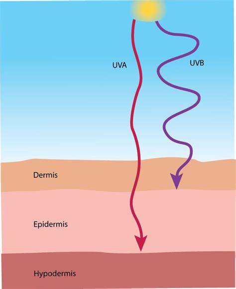 What's the difference between UVA rays and UVB rays? Arm yourself with ...