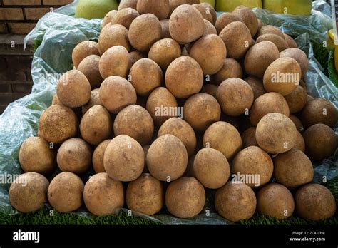 ciku fruit  res stock photography  images alamy