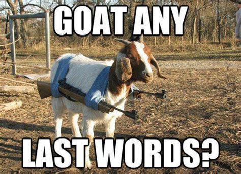 Goat any last words?
