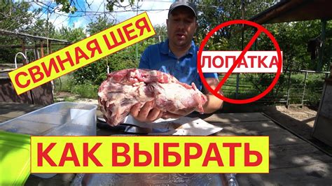 Свиная шея как выбрать - YouTube