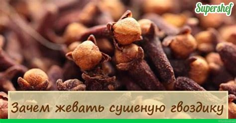 Польза сушеной гвоздики - KakZachem.ru