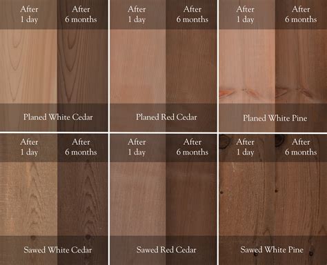 What Is Better Treated Wood Or Cedar at Catharine Blanco blog