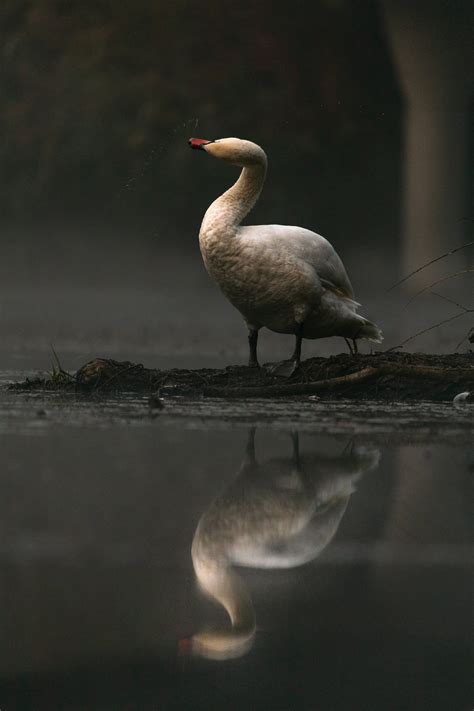 Aussergewohnliche Fotomotive Entdecken 1