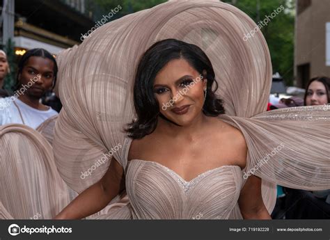 Готель П'єр 2024 Met Gala Відправлення Травня 2024 Року Нью — Стокове ...