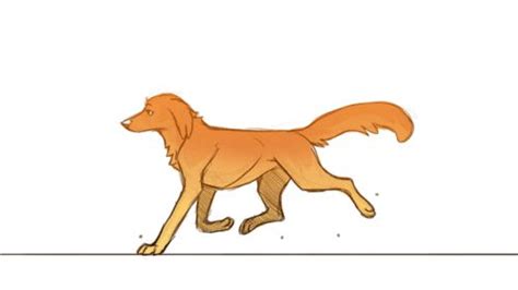 Собака бег.Гиф. | Animated drawings, Animation artwork, Animation art