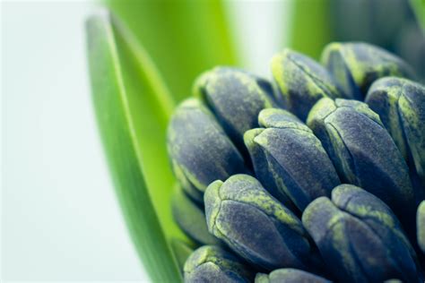 Violet Rain Photos, Download The BEST Free Violet Rain Stock Photos