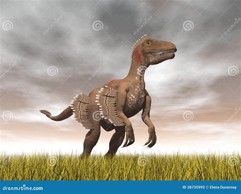 Velociraptor. Dinosaur Coloring Page For Children And Adults, Hand ...