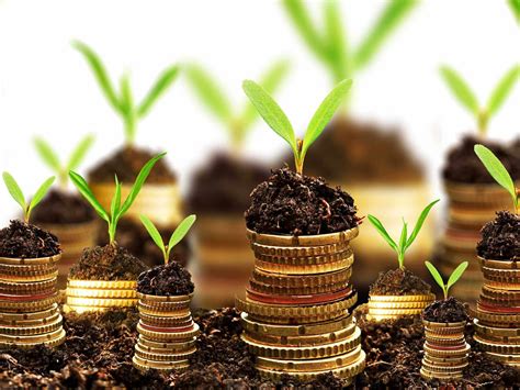 Sustainable Business model for growth - RUFF & CO.