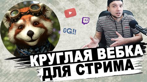 КРУГЛАЯ ВЕБКА ДЛЯ СТРИМА - YouTube