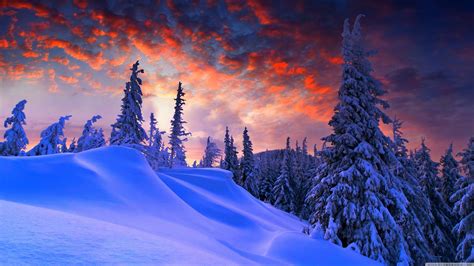 amazing  winter wallpapers top  amazing  winter backgrounds