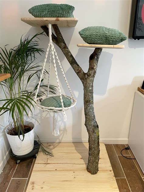 23 idées de Pour le chat | trucs de chat, bricolage pour chat, chat