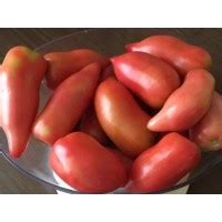 Флора Сибири