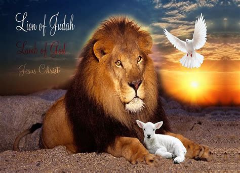 lion  judah lamb  god wallpaper jesus lion  lamb canvas wall
