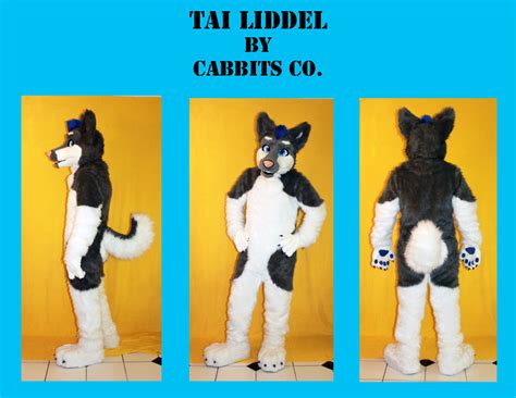 The Fursuit Database