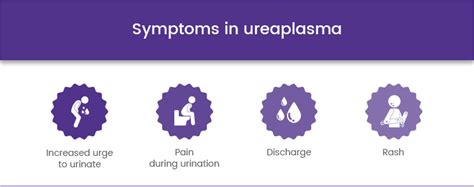 Confidential Ureaplasma Urealyticum Infection Test in Dubai (STD)