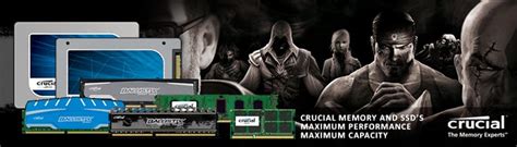 Crucial - Syntech