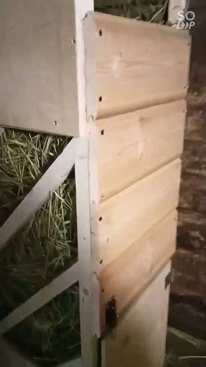Кормушка под сено для кормления коз #своимируками #сельскоехозяйство # ...