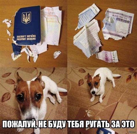 За такое не ругают! | Пикабу