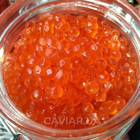 Черная икра осетра. Красная икра горбуши, нерки, кеты, кижуча, чавычи ...