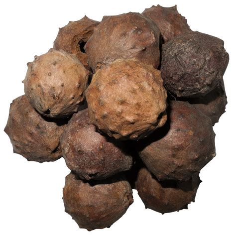 Velké duběnky: 50 g