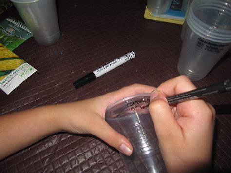 The Experiment (Aim, Hypothesis & Method) - Year 10 Science Investigation