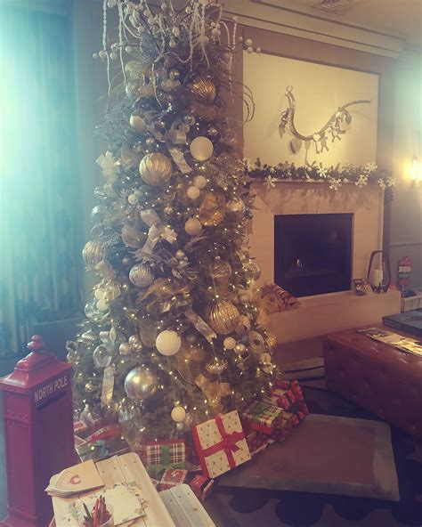 Instagram photo by Courtney Kane • Dec 20, 2024 at 8:12 AM