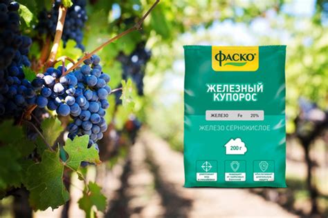 Железный купорос для винограда весной и осенью, как разводить препарат ...