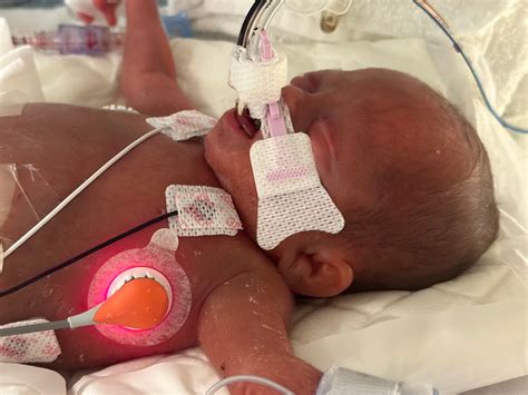 Planning a service at johnson funeral home aynor sc made easy 30