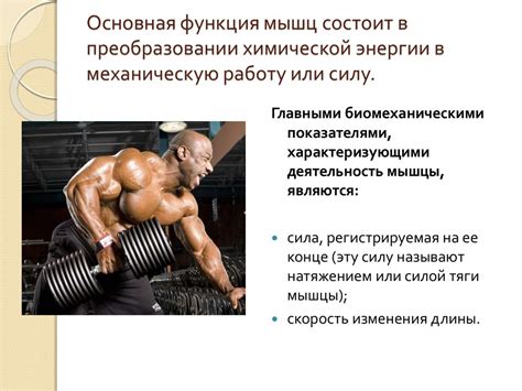 Основная функция мышц - online presentation
