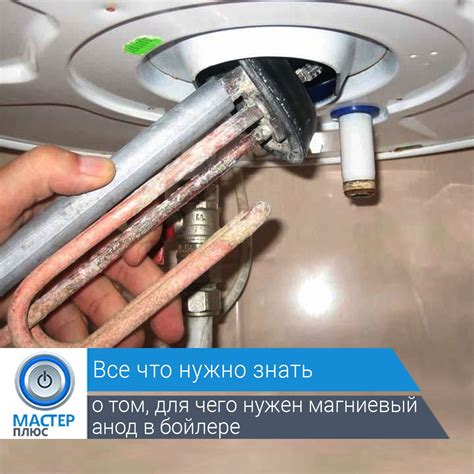 📎 Для чего нужен защитный магниевый анод в бойлере | Can opener, Canning